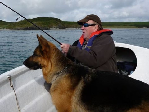 German shepard