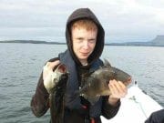 pollack and trigger fish