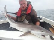 High hopes for small boat anglers at Kilkeel but just one tope landed Tope