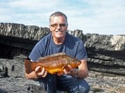 Bill has his finger on the trigger with cracking specimen wrasse in West Clare Bill Ryan with specimen wrasse