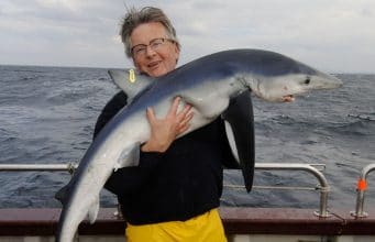 shark