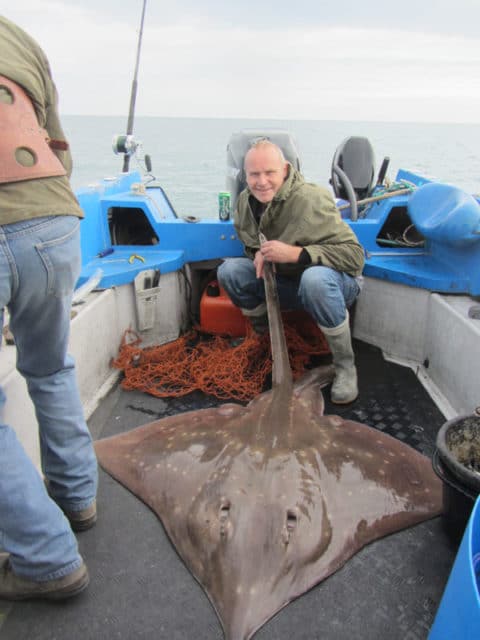 Nice male skate 111lb