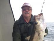 Good sized pollack, shark and conger for Courtmacsherry anglers