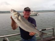 Cracking bass and pollack make up the gold and silver at Courtmacsherry