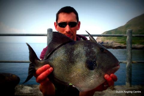 Craig Murphy - Dublin angling centre 1 - trigger fish