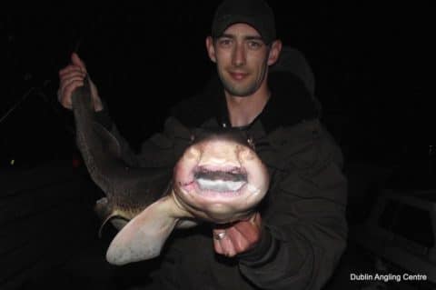 Craig Murphy - Dublin angling centre 3 - huss