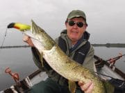 Slow trolling works for pike on a becalmed Ennell pike