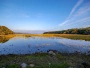 Low water conditions impact seriously on grilse fishing at Drowes Lough Melvin at Lareen Bay. The water level has almost retreated beyond the water level gauge