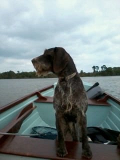 Heather the fish finder...