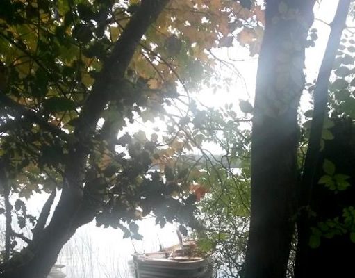 Irish Angling Update, 02/10/14 Sheelin