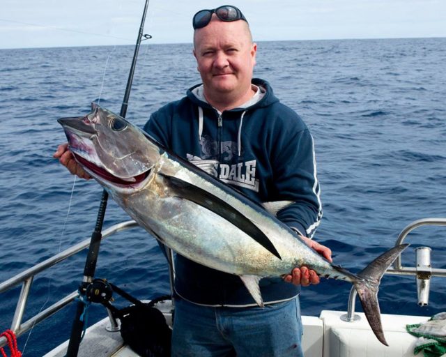 Specimen tuna weighing 16kgs