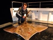 Giants for the Kiwi girl as she catches 200lb skate