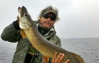 Fly caught pike save the day for German anglers pike on fly