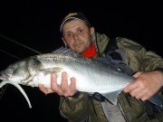 Night Silver on a Kerry beach