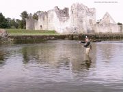 Daytime trout fishing tests the best on the Deel and Maigue River Maigue
