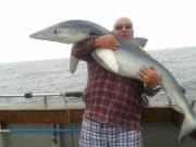 Great fishing around Cork Harbour for small boat anglers