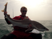 Wexford mackerel scare but tope willing for kayak angler tope