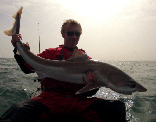 Wexford mackerel scare but tope willing for kayak angler tope