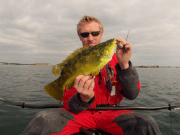 Ballan bonanza for kayak angler on Galway Bay wrasse