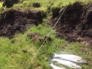 Excellent sea trout fishing on the Owenduff