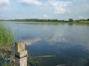 Uk anglers report good fishing from Strokestown area Grange Lough