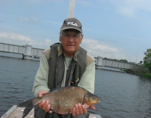bream