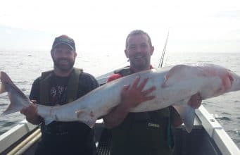 Curry brothers report huge tope off Cooley Point and wins our Catch of the Week. Big tope