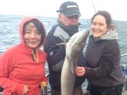 A fine specimen garfish tops some excellent catches of a wide range of species reported at Courtmacsherry.