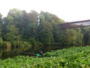 Fishing for Dace on the River Blackwater at the Fermoy Autumn Festival Munster Blackwater, Fermoy