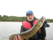 Plenty of pike for anglers in Longford