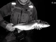 The darkness of night brings an 8lb beauty
