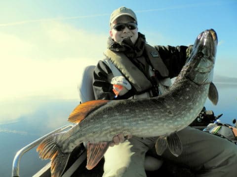 Michael caught his biggest pike yet on his Irish angling adventure - 106cm