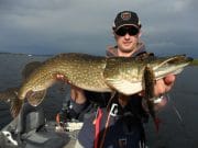 Some good pike 114cm for tourist anglers on Lough Derg Lough Derg Pike