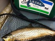 Lough Sheelin's fishing draws to a close with a blanket of dense fog