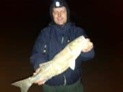 Crab proves best for bass at east coast mark during small night tide bass