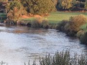 Water at last for the Blackwater, and a good finish expected Blackwater Lodge