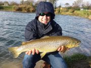 Superb brownies at Ardaire Springs Nate with a superb brownie