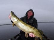 A Dutch of class on the pike angling scene pike