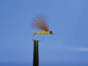Dundalk Brown Trout Anglers Fly Tying Classes
