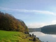 Super winter roach catches on Inniscarra Lake for South Munster Angling Club