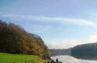 Super winter roach catches on Inniscarra Lake for South Munster Angling Club