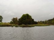 The River Barrow Piker ventures beyond the banks of the Barrow and a surreal day of pike fishing ensues Rye Lake - Swim after swim. Take your pick for wonderful fishing !