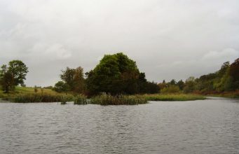 Rye Lake - Swim after swim. Take your pick for wonderful fishing !