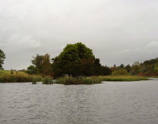 The River Barrow Piker ventures beyond the banks of the Barrow and a surreal day of pike fishing ensues Rye Lake - Swim after swim. Take your pick for wonderful fishing !