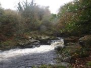 Irish Angling Update – 06/11/14