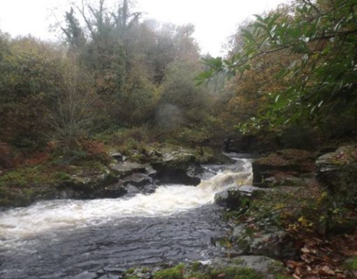 Irish Angling Update – 06/11/14