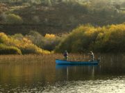 Irish Angling Update, 13/11/14 Pike from a boat