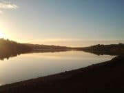 Irish Angling Update – 26/11/14