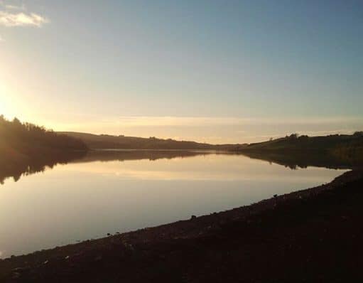 Irish Angling Update – 26/11/14