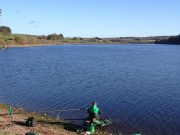 Bright conditions and good bags of small fish at Inniscarra for match anglers Inniscarra